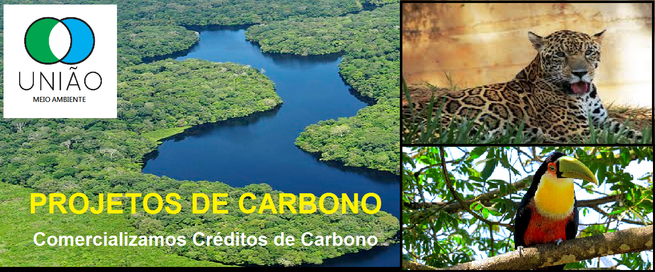 comercializamos-creditos-de-carbono