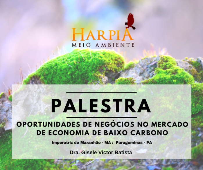 convite-palestra-oportunidades-economia-baixo-carbono_harpia