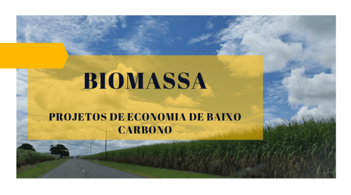 post-bioeletrecidade-1