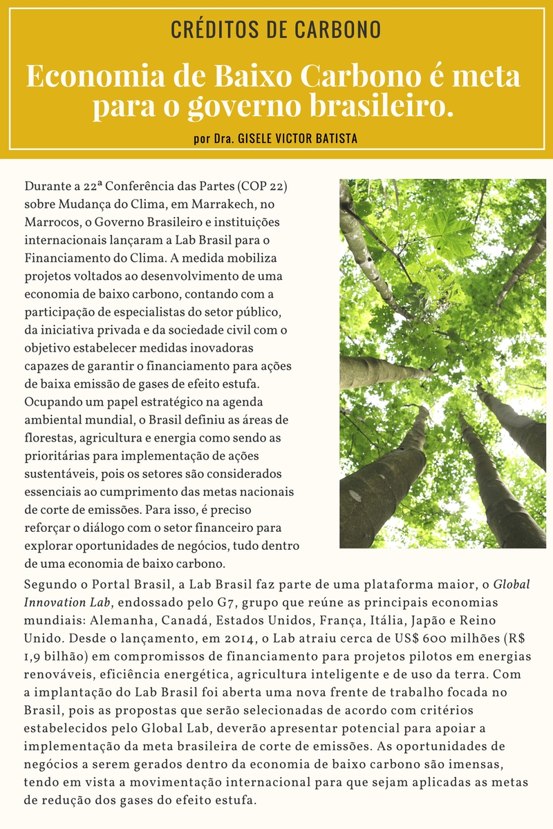 projeto-de-carbono-economia-de-baixo-carbono-e-meta-para-o-governo-brasileiro-1