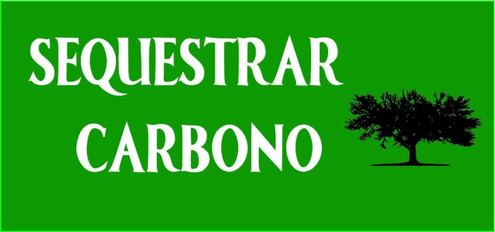sequestrar-carbono_logo_final-2