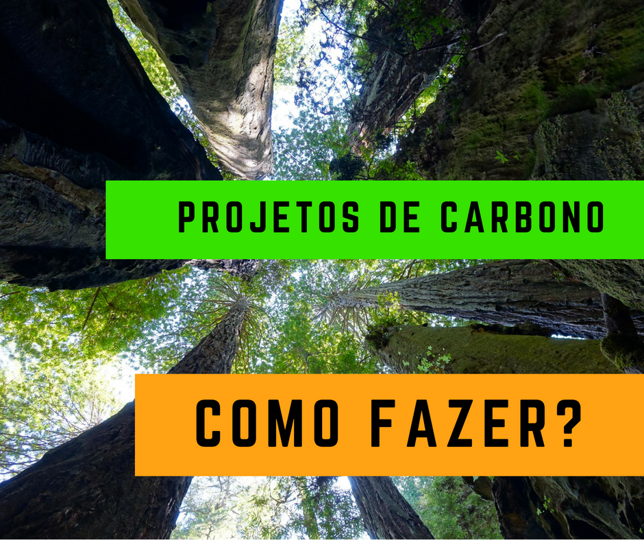 como-fazer-projeto-de-carbono