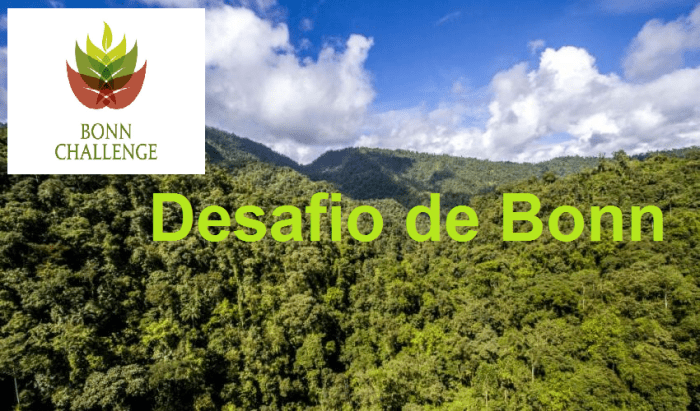 desafio-de-bonn