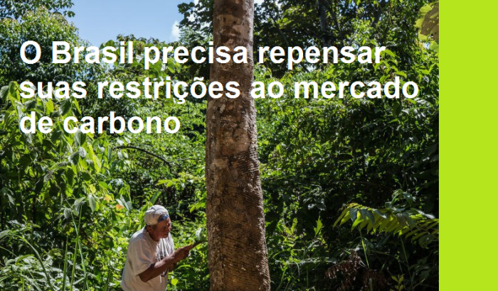 o-brasil-precisa-repensar-suas-restricoes-ao-mercado-de-carbono