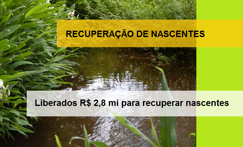 recuperacao-de-nascentes