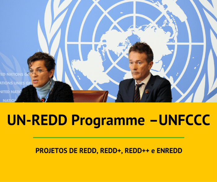 un-redd-programe-unfccc-3
