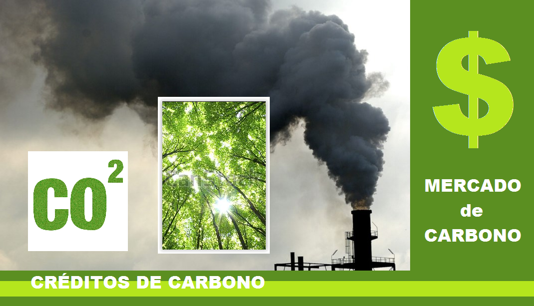 mercado de carbono